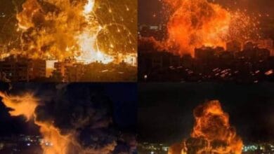 FB IMG 1729549570342