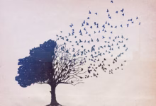 شجرة الصداقة