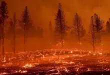 حرائق كالفورنيا