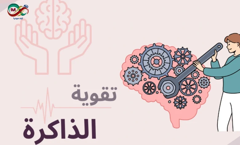 تقوية الذاكرة اساليب تساعدك