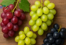 فوائد العنب