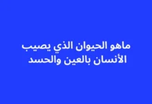 مفهوم العين والحسد في الثقافة الإسلامية والعلاقة المحتملة مع بعض الحيوانات وفق المعتقدات.