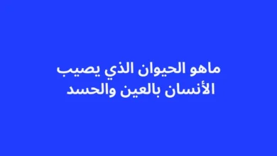 مفهوم العين والحسد في الثقافة الإسلامية والعلاقة المحتملة مع بعض الحيوانات وفق المعتقدات.