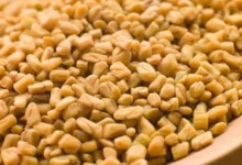 عشبة الحلبة