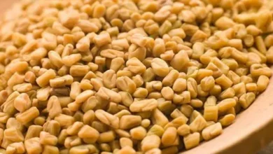 عشبة الحلبة