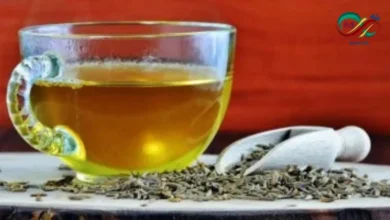 كوب من مشروب الحلبة الطبيعي المحضر من البذور الذهبية المعروفة بفوائدها الصحية ورفع الخصوبة المتعددة.