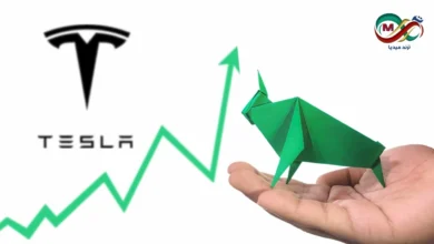 رسم بياني يوضح أداء أسهم تسلا (TSLA) في البورصة مع إبراز قفزة الأسهم الأخيرة بعد شراء إيلون ماسك.