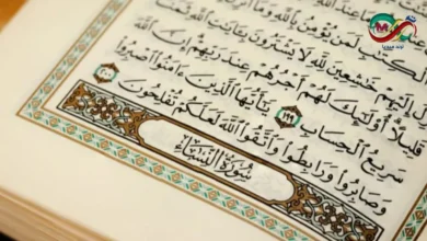 الآيات القرآنية