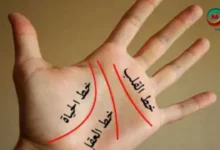خطوط يديك