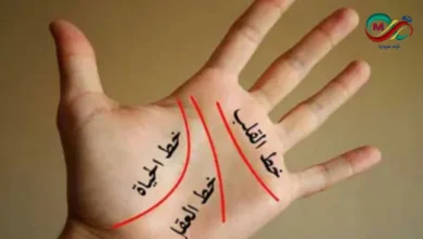 خطوط يديك