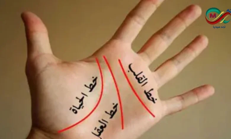 خطوط يديك: نافذة إلى عالم شخصيتك وكشف أسرار التفكير والتحليل 1 خطوط يديك