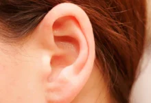 أجزاء الأذن ومواقع ظهور أعراض سرطان الأذن المحتملة.