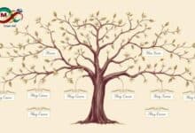 رسم توضيحي لشجرة العائلة متفرعة تظهر الأجداد والفروع العائلية المختلفة.