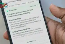 انخفاض حركة المرور إلى المواقع الإخبارية بعد دمج محرك البحث غوغل الذكاء الاصطناعي.