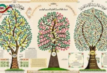 صورة توثيقية لوثائق قديمة وخرائط أنساب في دار المحفوظات المصرية.