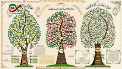 صورة توثيقية لوثائق قديمة وخرائط أنساب في دار المحفوظات المصرية.