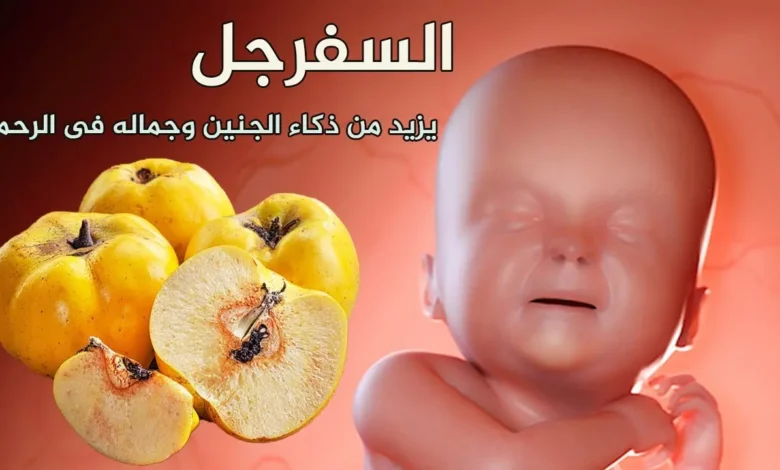 هدية الله للحوامل! فاكهة عجيبة تجعل الجنين أكثر جمالاً ونقاءً وذكاءً…بإذن الله تعالى وهبة من الله لكل أم 1 الجنين