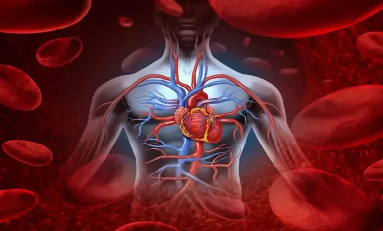 إنذار أحمر: 7 علامات صامتة في جسدك تنذرك بضعف ضخ الدم للقلب قبل فوات الأوان! 1 ضعف ضخ الدم للقلب