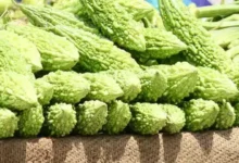 الأورام