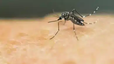 الملاريا وحمى الضنك