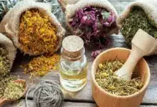 خلطة الطبيعة السحرية: 7 أعشاب مذهلة تخفف آلام المفاصل والظهر في أيام 9 20201031061610331