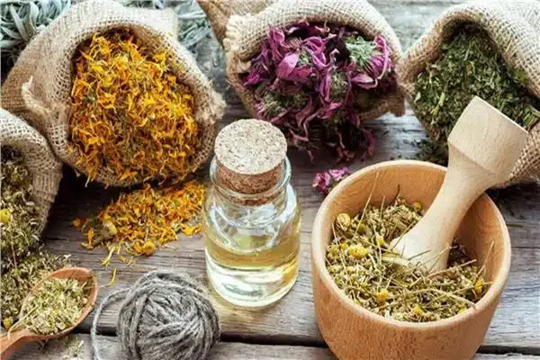 خلطة الطبيعة السحرية: 7 أعشاب مذهلة تخفف آلام المفاصل والظهر في أيام 8 20201031061610331