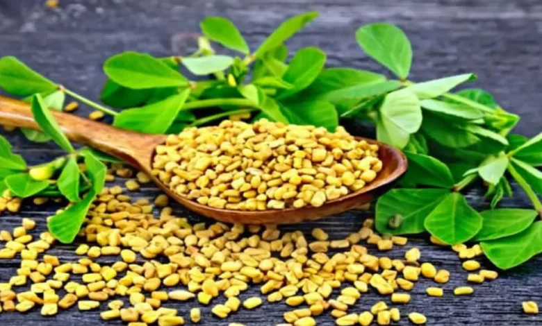 الحلبة والسكر التراكمي