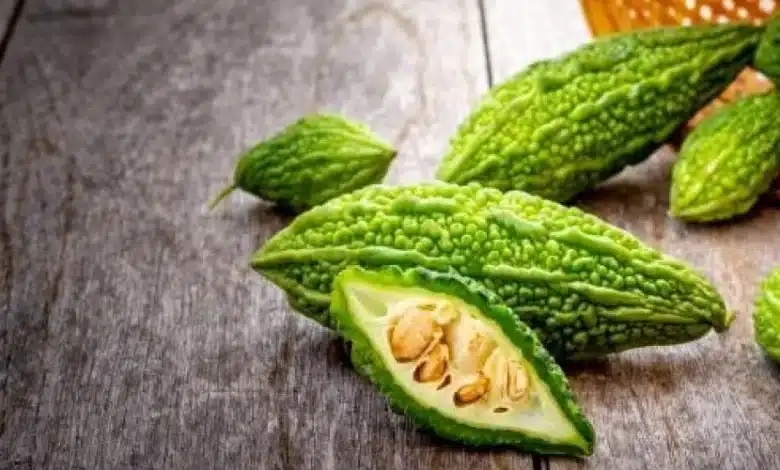 "انتهى زمن الأنسولين " نبيتة الحنظل موجودة في كل بيت تخفض السكر خلال يومين فقط وتعيد التوازن للجسم بإذن الله 1 الحنظل