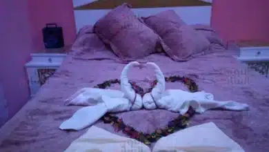 كارثة..! عروسة تسجل ليلة الدخلة لمدة 90 دقيقة مع زوجها وتنشر الفيديو 5 عروسة تسجل ليلة الدخلة