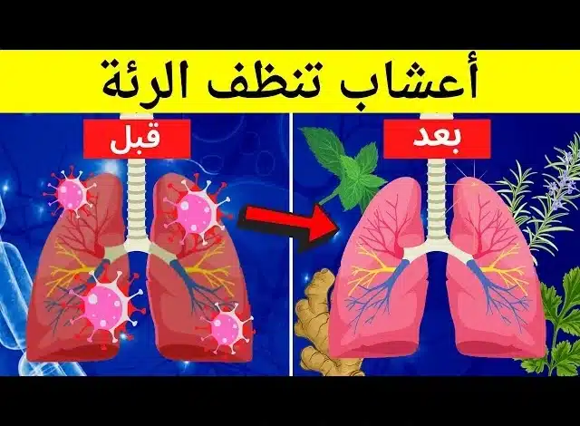 طفرة في الطب التكميلي.. خلطة عشبية طبيعية تهدئ السعال وتنقي الرئتين وتعيد سهولة التنفس 20 مشروب لتنظيف الرئتين
