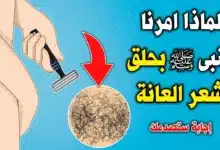الشعر الموجود حول الأعضاء التناسلية