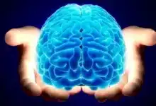 تنشيط الذاكرة