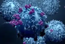 الخلايا السرطانية