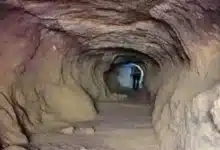 طفل وضعته أمه في الكهف