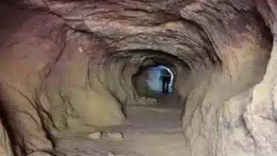 من هو الطفل الذى وضعته أمه في الكهف , ثم رباة جبريل عليه السلام فلما كبر أصبح كافرا 8 طفل وضعته أمه في الكهف