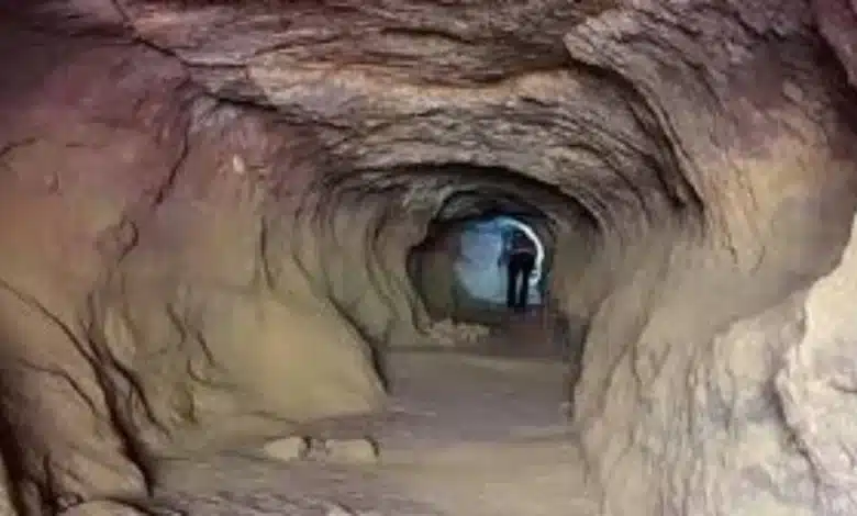 طفل وضعته أمه في الكهف