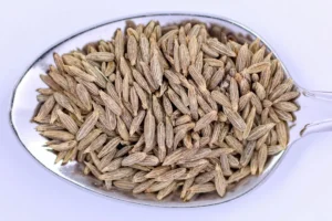 فوائد الكمون