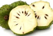 فاكهه الجرافيولا