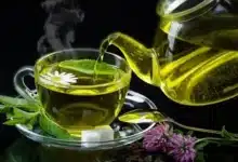 "عالم نباتات ياباني يكتشف" ورقة خضراء تضعها في الشاي تضبط ضغط الدم فوراً 9 87542318949