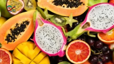 فوائد الفواكه الاستوائية لتعزيز المناعة والوقاية من الأمراض 7 طبق يضم تشكيلة متنوعة من الفواكه الاستوائية الطازجة يوضح فوائد الفواكه الاستوائية لتعزيز المناعة والوقاية من الأمراض