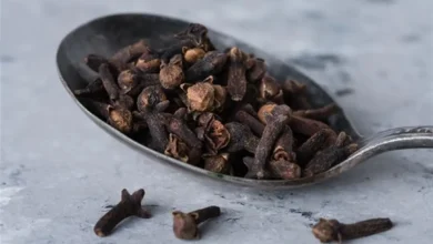فوائد القرنفل للرجال: دليلك العلمي لاستعادة النشاط وتحسين الأداء 4 Benefits of cloves for men