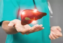 2025 9 24 18 2 57 803