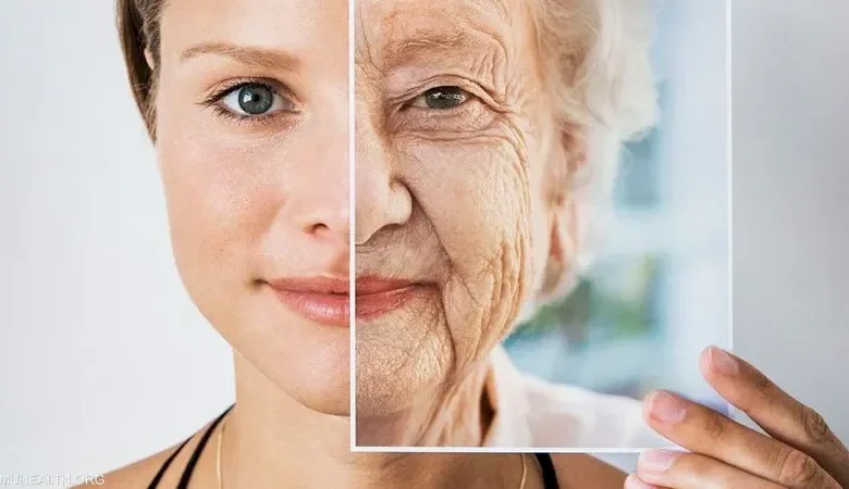 2b85a00ff605bf39a4e5b57e8e1f17c2 1740317410