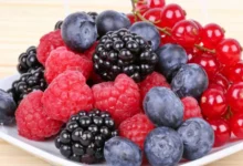 التوت البري