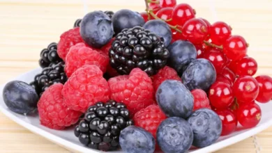 التوت البري