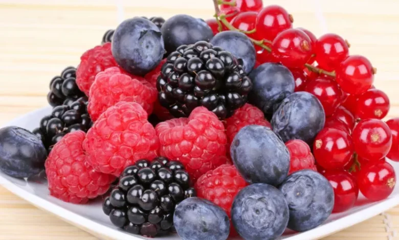 التوت البري