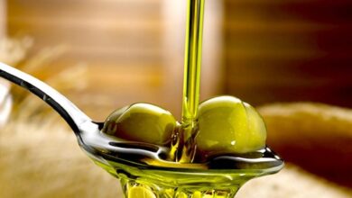 7d403c52 271e 483b 9350 8ab4d9fcc546 1000x833.33333333333 VieVQbqDXqY1z8SZootxX3ssjD9NwU2XVcLHUn81 1