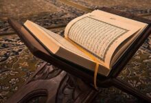 WhatsApp Image 2024 10 18 at 01.45.05 3b75ddba e1729206780882