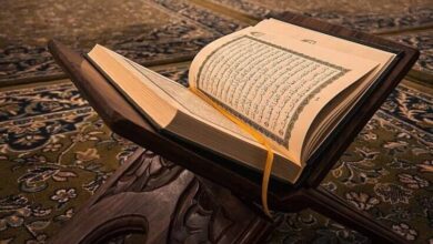 WhatsApp Image 2024 10 18 at 01.45.05 3b75ddba e1729206780882