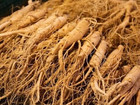 "أشهر طبيبة جزائرية تكشف للرجال هدية من رب العالمين وهي عشبة نادرة تجعلهم كالأسود في العـ،ـلاقة الزوجية من اول مرة.. شاهدها الآن 7 images 22